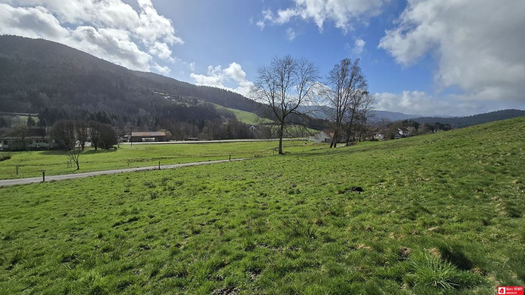 Terrain CLEURIE 45000€ Marc HENRY IMMOBILIER Terrain CLEURIE 45000€ Marc HENRY IMMOBILIER
