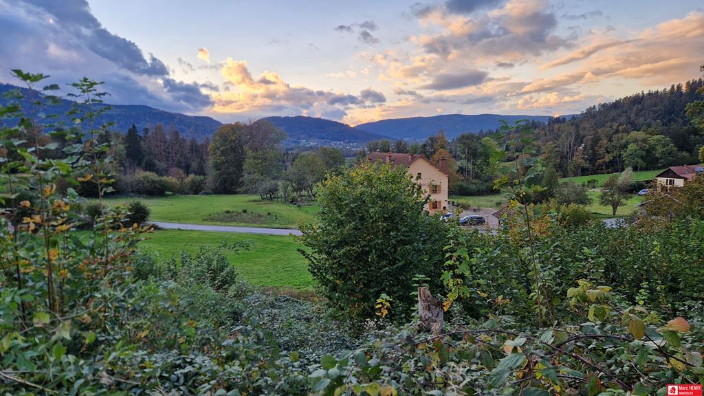 Terrain GERBAMONT 55000€ Marc HENRY IMMOBILIER Terrain GERBAMONT 55000€ Marc HENRY IMMOBILIER