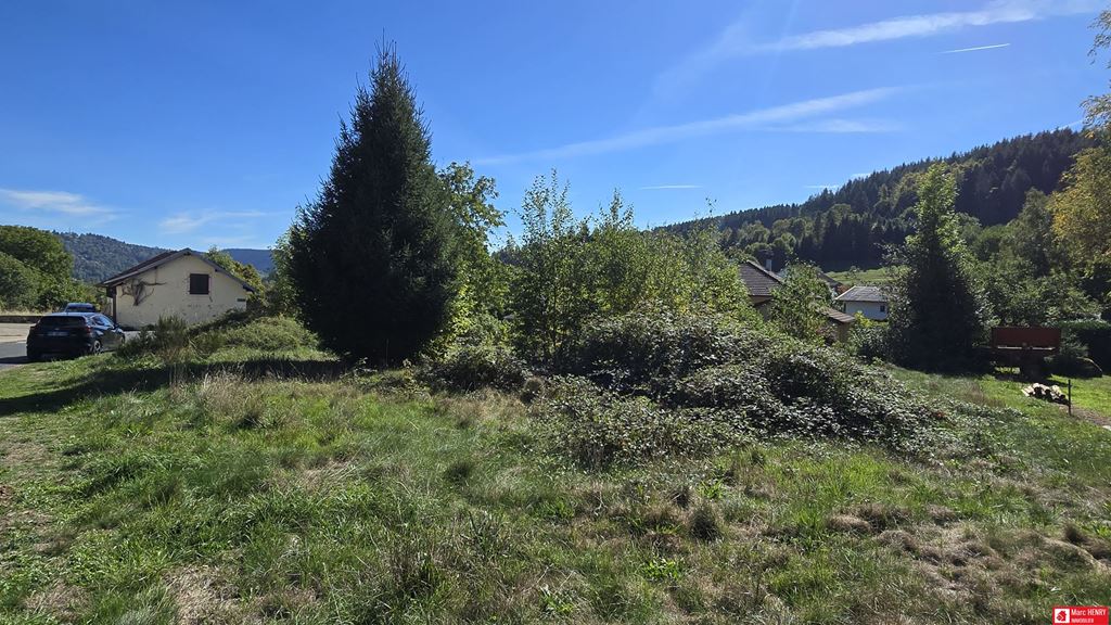 Terrain LE THOLY 47500€ Marc HENRY IMMOBILIER Terrain LE THOLY 47500€ Marc HENRY IMMOBILIER